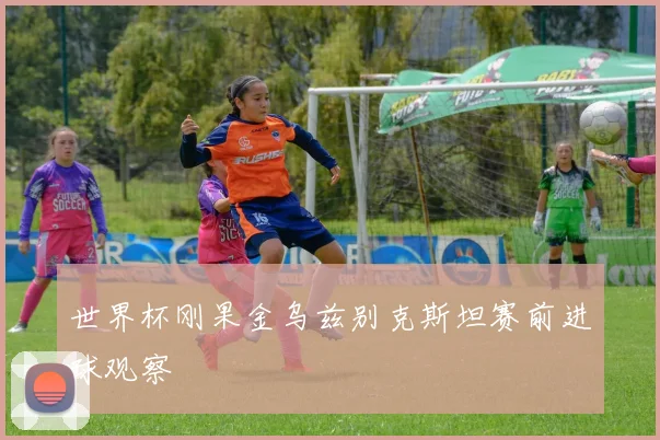 世界杯刚果金乌兹别克斯坦赛前进球观察