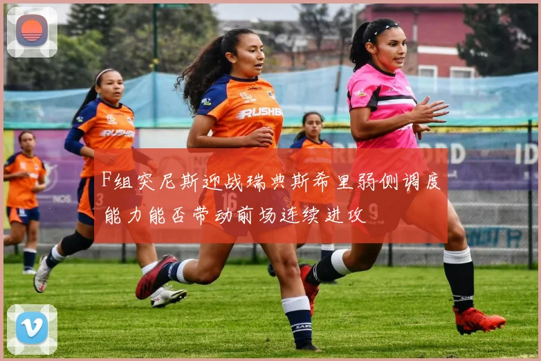 F组突尼斯迎战瑞典斯希里弱侧调度能力能否带动前场连续进攻